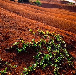 Todd Howard告诉你《星空》一千个星球上有什么